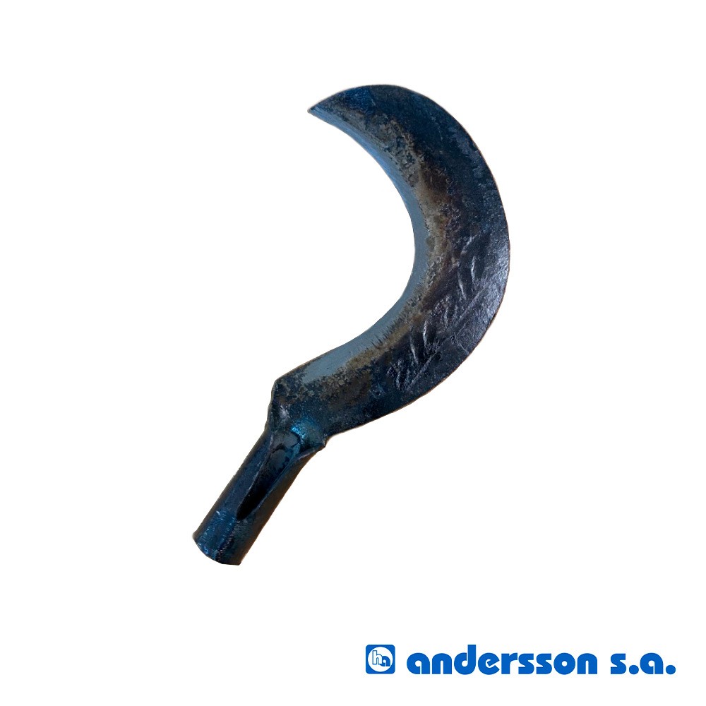 foisa-tamano-grande-15aun-10568